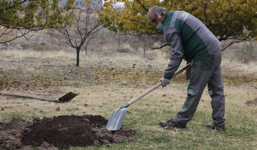 164297488_367738908109470_8547303689971779846_o