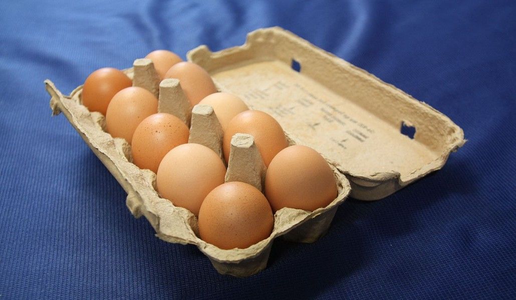 Eierdoos