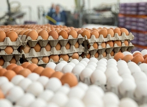 Գյումրիում Զատկին ձվի շուկայում պակաս չի լինի