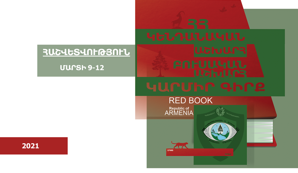 Հաշվետվություն