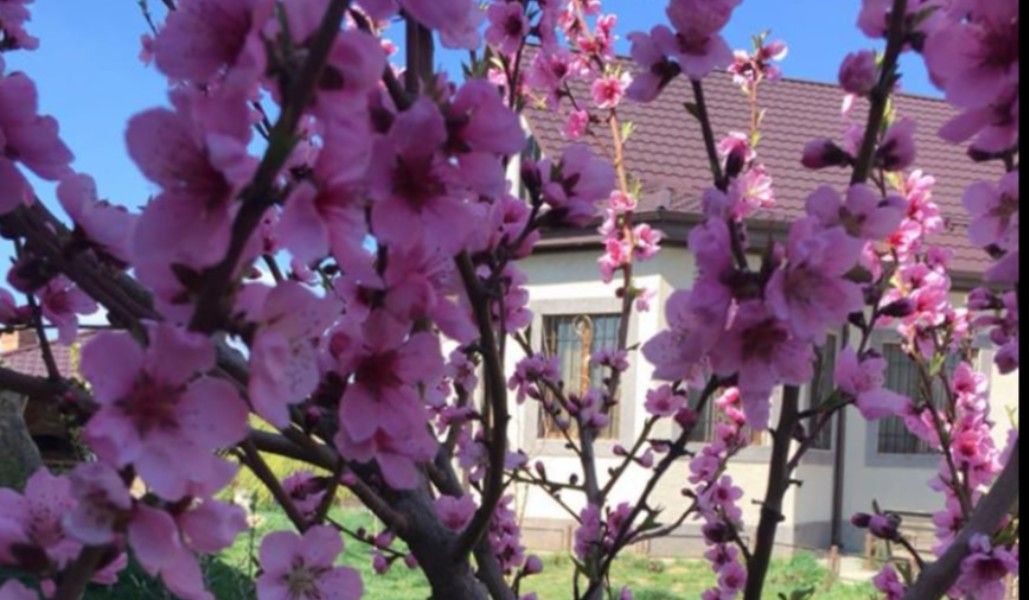 167280282_1162093487570326_8393832650317700897_n