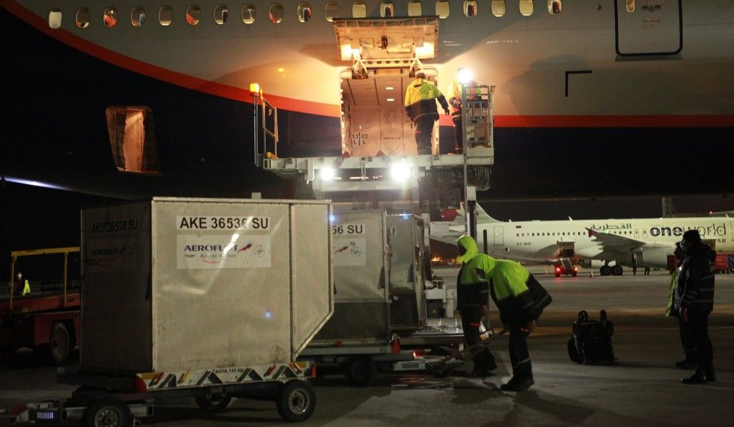 170113582_2054196664733614_3048717156288413450_n