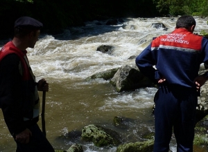 Փրկարարները խոշոր եղջերավոր կենդանուն դուրս են բերել  Հրազդան գետից