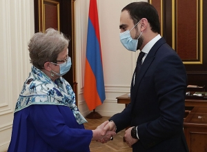 Вице-премьер Тигран Авинян принял главу делегации