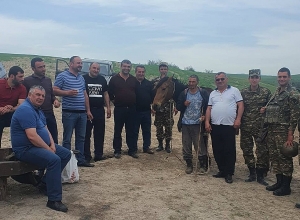 Ներքին Խնձորեսկում 22 գլուխ խոշոր եղջերավոր կենդանի հայտնվել է թշնամու տարածքում