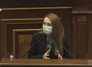 Макунц о встрече с президентом