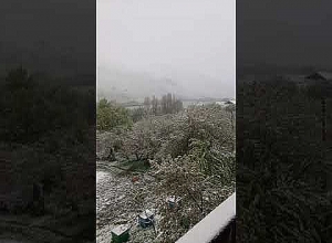 Շիրակի մարզում ձյուն է տեղացել