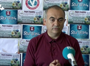 Պետք է ճանաչենք Արցախը՝ առանց վախերի․ Թեւան Պողոսյան