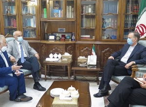 Арташес Туманян представил замминистра ИД Ирана ситуацию, сложившуюся в Сюникской области