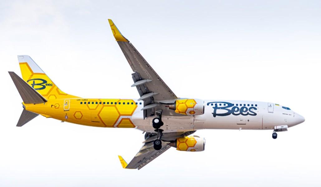bees_airline_in_flight_dk2