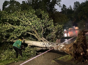 Из-за сильного ветра повреждены крыши зданий, сломаны деревья, оборваны линии электропередачи: МЧС