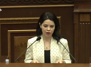 Пограничные инциденты происходят потому, что у нас есть такой противник, как Азербайджан: Татевик Айрапетян