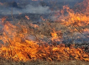 Դավիթ Բեկ գյուղի մոտ այրվել է մոտ 10 հա խոտածածկույթ