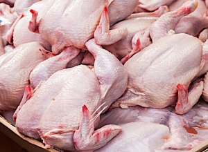 Վրաստանը Թուրքիա է վերադարձրել տոննաներով սառեցված հավի միս