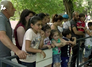 Как почистили зубы бегемоту