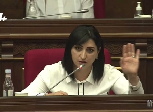 Աբովյանի դիահերձարանի դեպքը մասնավոր էր․ նման բան ոչ մի տեղ չկա