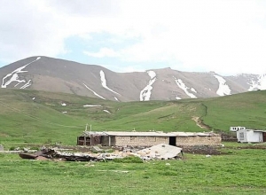 Ադրբեջանցի 9 զինծառայող գողացել է Վերին Շորժայի արոտավայրի հովվի կովը և նոր ծնված հորթը․ ՄԻՊ-ն ահազանգ է ստացել