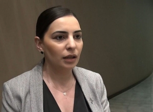 Թեհմինա Վարդանյանի ասուլիսը․ ՈՒՂԻՂ