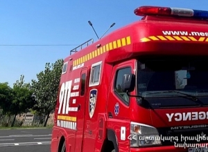 Փրկարարները ծառը հեռացրել են ճանապարհի երթևեկելի հատվածից