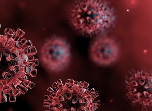 Подтверждено 88 новых случаев заражения коронавирусов: 5 смертей