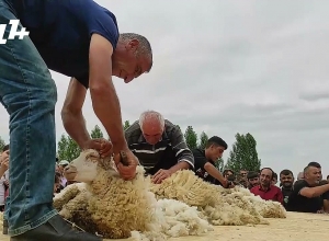 Ոչխարների խուզման մրցույթ Տաթևում
