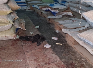 Разбойничье нападение в Армавире