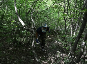 Поиск останков сегодня продолжается в районе Джабраил