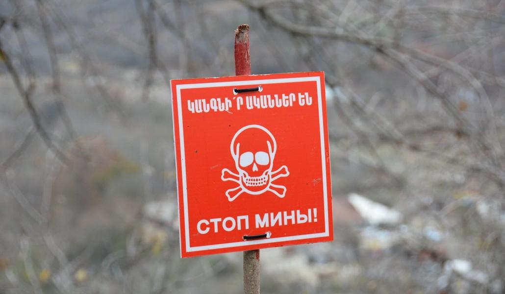 230473955_1853186364842970_5392871482239753069_n