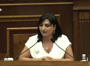 Запрещаю, чтобы мужчины подходили осматривать женщин-депутатов: Товмасян