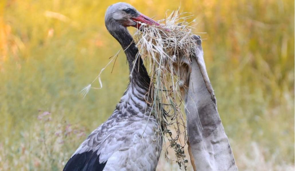 230218440_2809905949258083_1366507504571299521_n