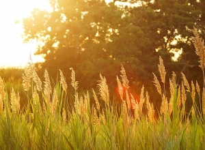 Օդի ջերմաստիճանն աստիճանաբար կբարձրանա 6-8 աստիճանով