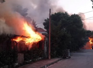 Անտառային հրդեհների հետևանքով ոչնչացվել են Աթենքի բնակելի թաղամասեր