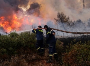 Мы глубоко опечалены известием о катастрофических лесных пожарах по всей Греции: МИД РА