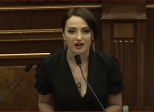 Я готова как-нибудь вас всех здесь терпеть: Лусине Бадалян - оппозиции