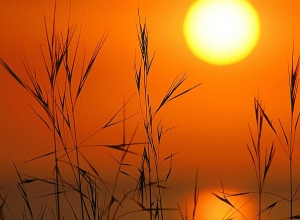 Արարատյան դաշտում և Սյունիքի հովիտներում առաջիկա 5 օրերին սպասվում է բարձր կարգի հրդեհավտանգ իրավիճակ