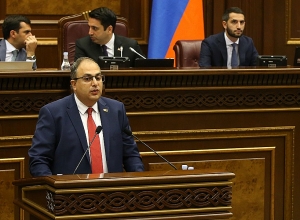 Прошу вас положительно проголосовать, когда поднимется вопрос о лишении меня неприкосновенности: Варданян - ГД