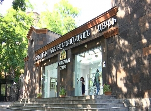 Կենդանաբանական այգու աշխատակիցները ներկայացվում են փաստեր, որ մինչ այս հասարակությանը չի ներկայացվել