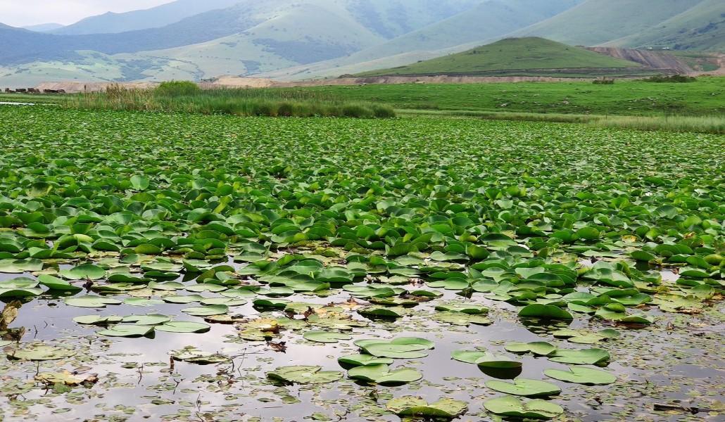 233580411_2815002175415127_1318470584278217196_n