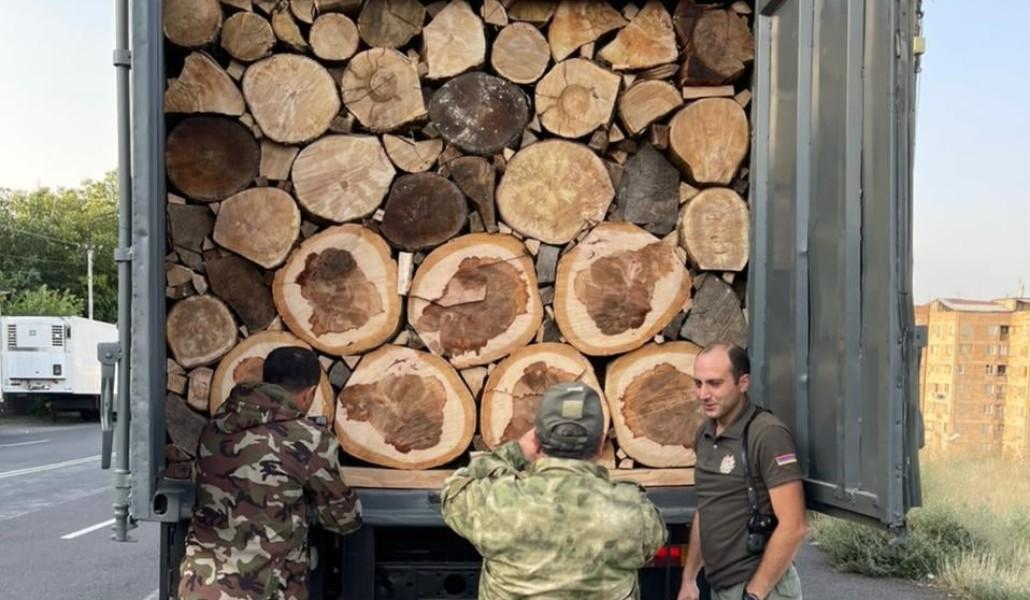 ապօրինի ծառահատում