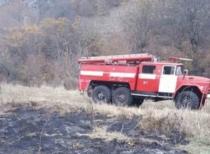 Այրվել է մոտ մոտ 200 հակ անասնակեր