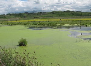 Կոչ են անում հետ կանչել Սևանա լճից հավելյալ ջրառի վերաբերյալ որոշումը