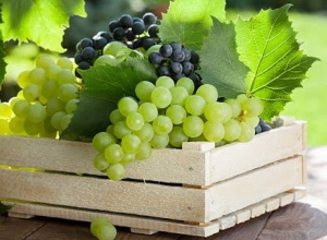 Հայ առաքելական եկեղեցին այսօր նշում է Խաղողօրհնեքը