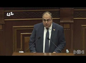 Мы не можем сформировать комиссии: Владимир Варданян