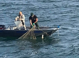 Սևանա լճից դուրս է բերվել մանրաձկան 44 ապօրինի որսացանց․ ՇՄՆ