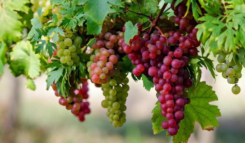 ae7e3420902807084c589f60df7dcb06