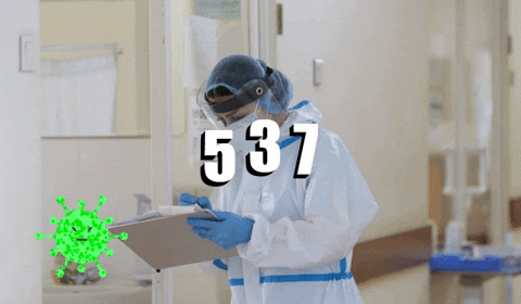 giphy (9)