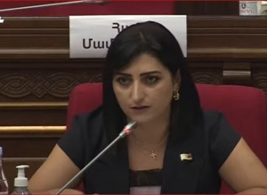 Вы не можете обеспечить элементарную безопасность: Что ждёт сельчан Гегаркуника?