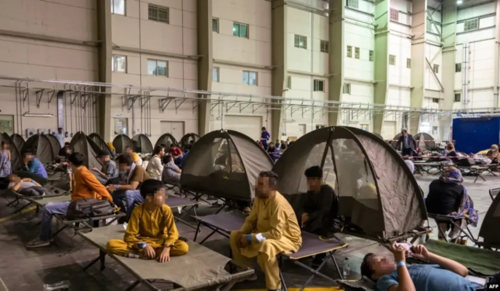 1CC1FBAC-0AC2-4862-9F87-8C8FF4A32DA9_w1023_r1_s