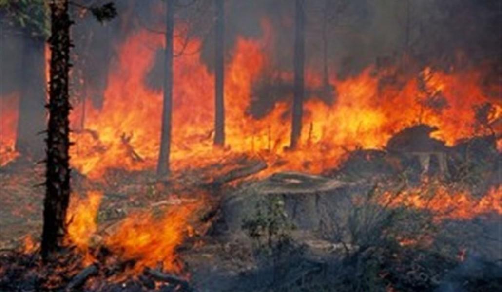 4C7A9FF340AB62E328D6920804DF3DF6-copy