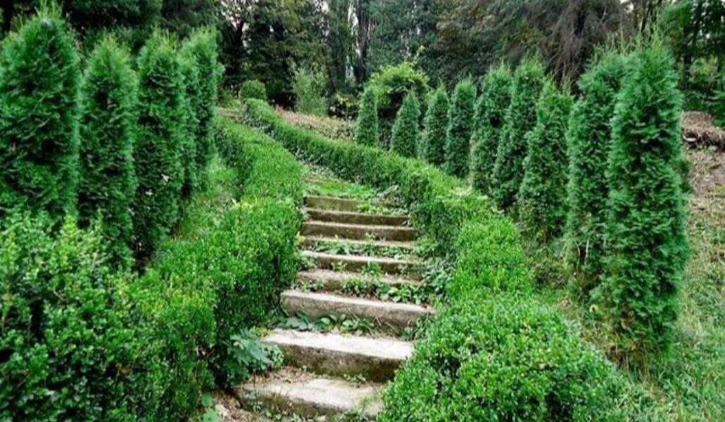 240816203_228858109252107_1834419803349356079_n